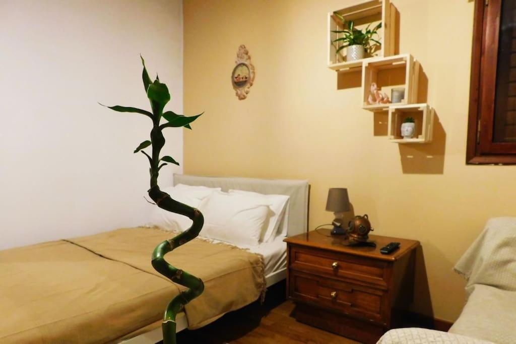 阿纳维索斯Marco Polo'S Mooring Cozy Navy House公寓 外观 照片